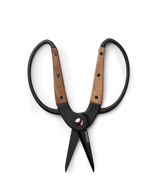 garden, scissors, craft, prune, flower, cut, woman, women, man, men, outdoors, outside, leaf, wood, walnut