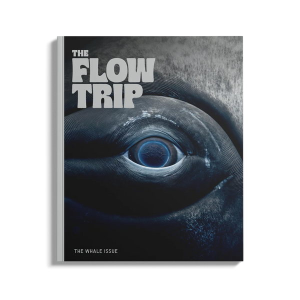 THE FLOW TRIP (FORMERLY WHALEBONE MAGAZINE)