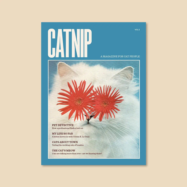 MAGAZINE