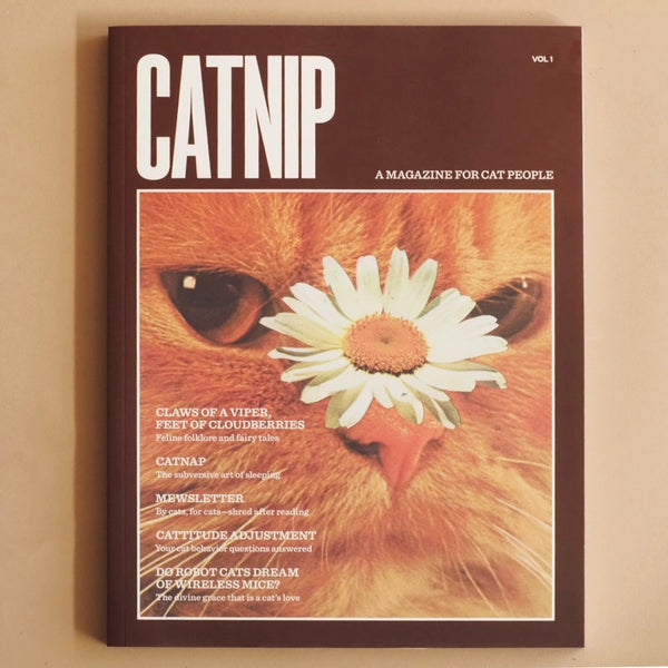 MAGAZINE
