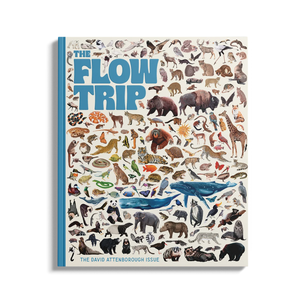 THE FLOW TRIP (FORMERLY WHALEBONE MAGAZINE)