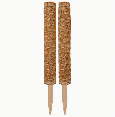 moss pole in store MOSS POLE – Petrikor