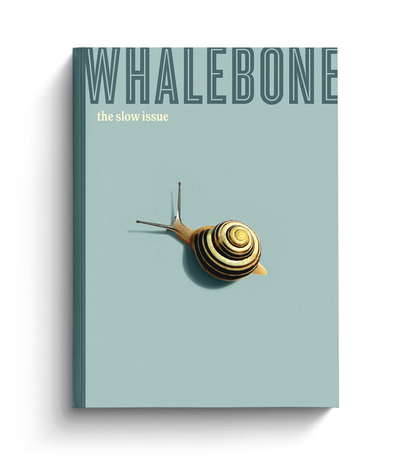 THE FLOW TRIP (FORMERLY WHALEBONE MAGAZINE)