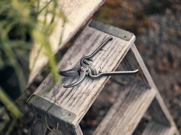 garden, scissors, craft, prune, flower, cut, woman, women, man, men, outdoors, outside, leaf, copper, steel