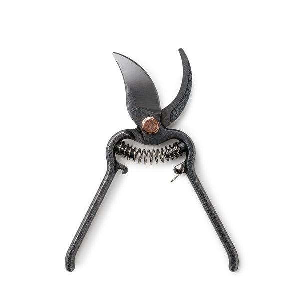 garden, scissors, craft, prune, flower, cut, woman, women, man, men, outdoors, outside, leaf, copper, steel