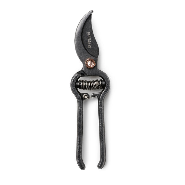 garden, scissors, craft, prune, flower, cut, woman, women, man, men, outdoors, outside, leaf, copper, steel