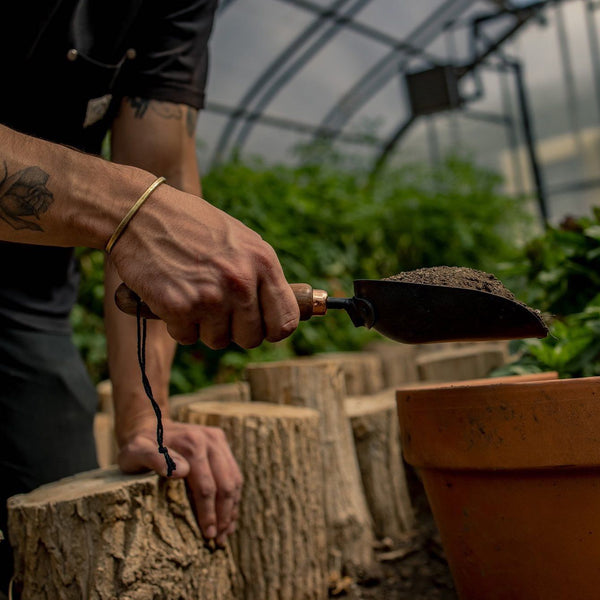 WALNUT GARDEN SCOOP
