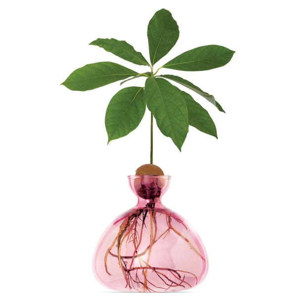 AVOCADO VASE