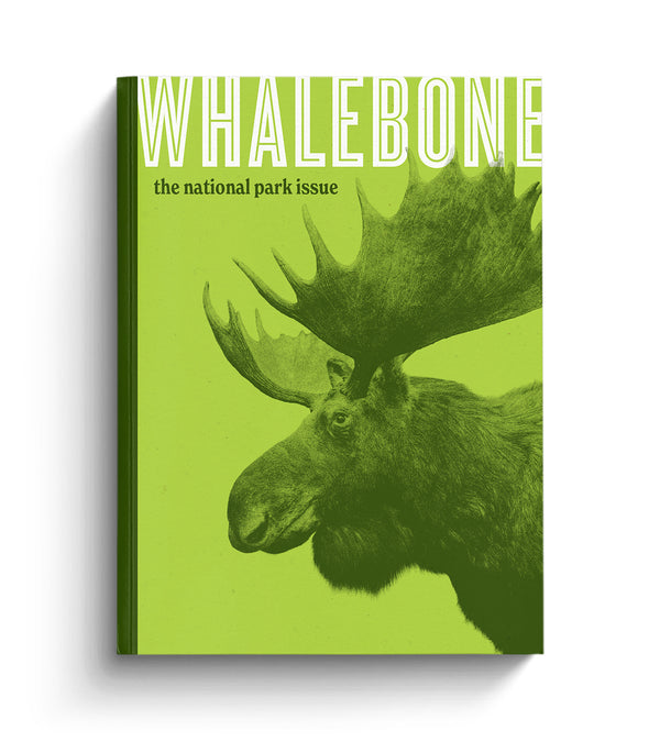 THE FLOW TRIP (FORMERLY WHALEBONE MAGAZINE)