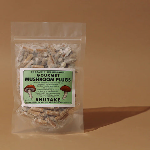 MUSHROOM PLUGS