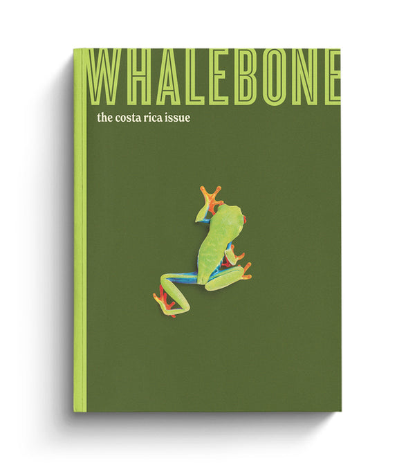 THE FLOW TRIP (FORMERLY WHALEBONE MAGAZINE)